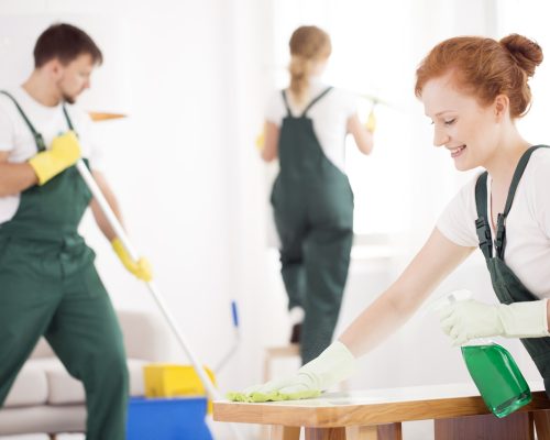 Cleaning service during work